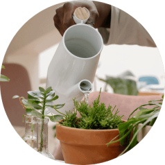 Home Care Santa Clarita Home Care Santa Clarita